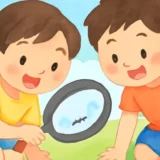 063 summer research 3rd grade thumbnail