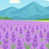 158 summer hokkaido trip thumbnail