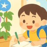 274 summer morning glory observation thumbnail