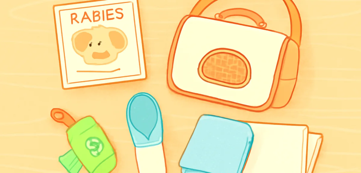 Illustration of pet travel essentials laid out on a wooden table, rabies vaccination certificate, do